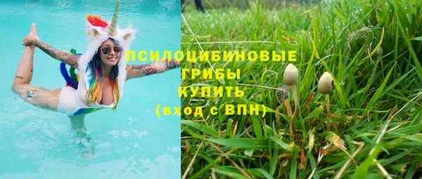 a pvp Михайловск
