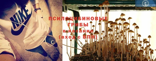 a pvp Михайловск